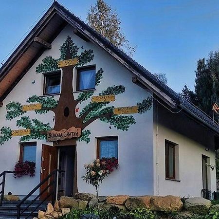 Bukowa Chatka Bukowiec  Exteriér fotografie