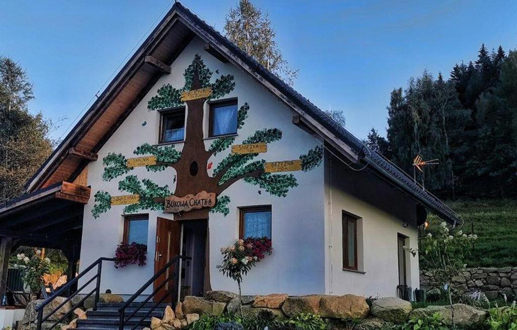 Bukowa Chatka Bukowiec  Exteriér fotografie